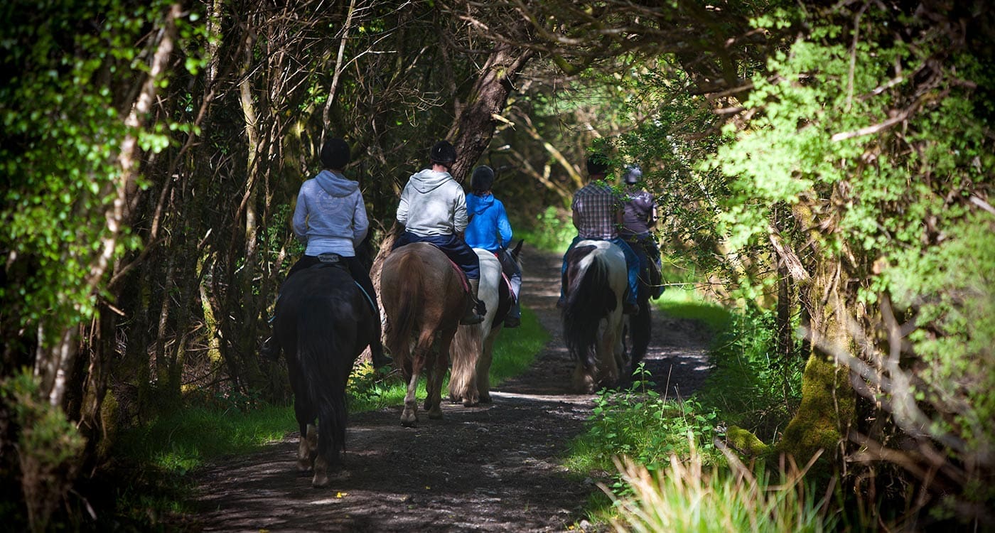 Equestrian-Holidays-Horse-walking